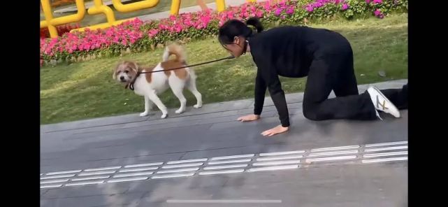 广东美女当街跪地爬行,拴狗绳学狗叫,又是"主人的任务