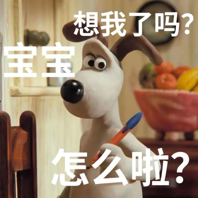 表情包|超级无敌掌门狗 gromit格洛米表情包