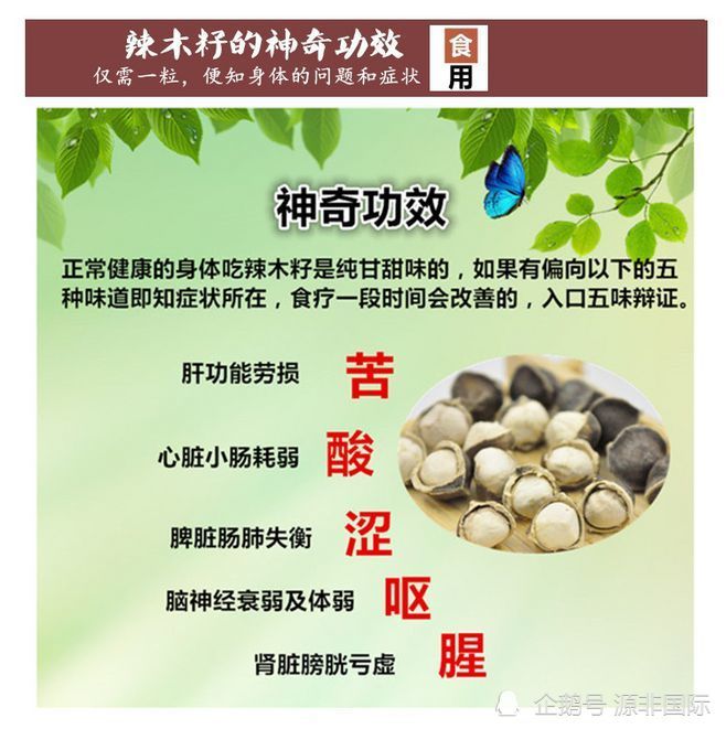 辣木籽的食用方法及应用