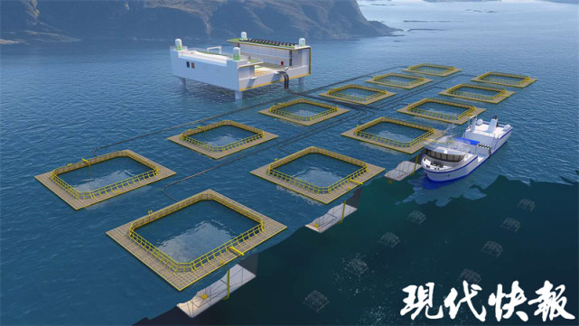 连云港赣榆首个国家级海洋牧场示范区成功获批