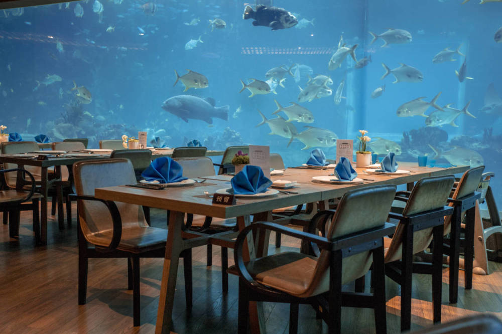 三亚酒店推荐丨海棠湾首家海底餐厅亲子旅行好去处