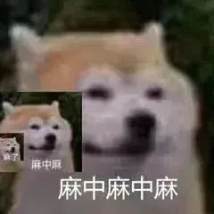 沙雕表情包猫猫狗狗表情包合集