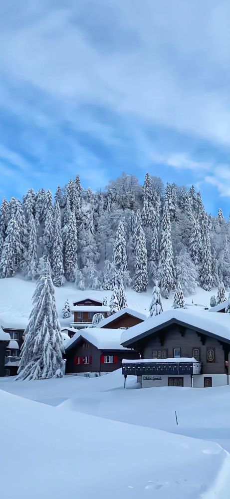 壁纸雪景唯美小众