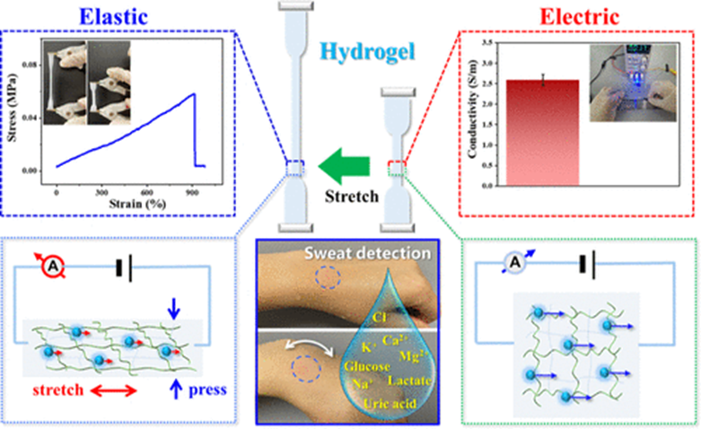 analchem暨南大学李风煜水凝胶传感器用于检测汗液
