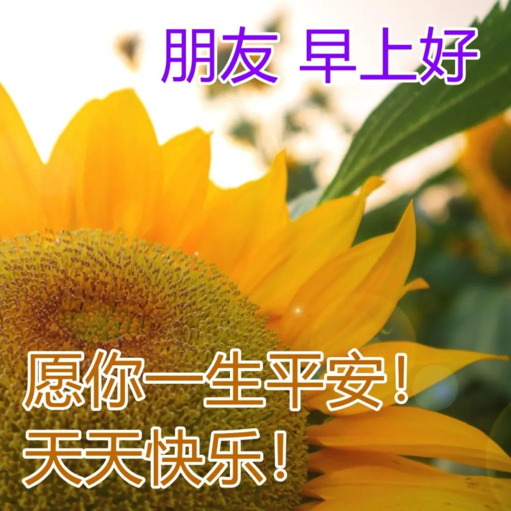 周末最新版早上好问候图片合集早晨好祝福图片带字