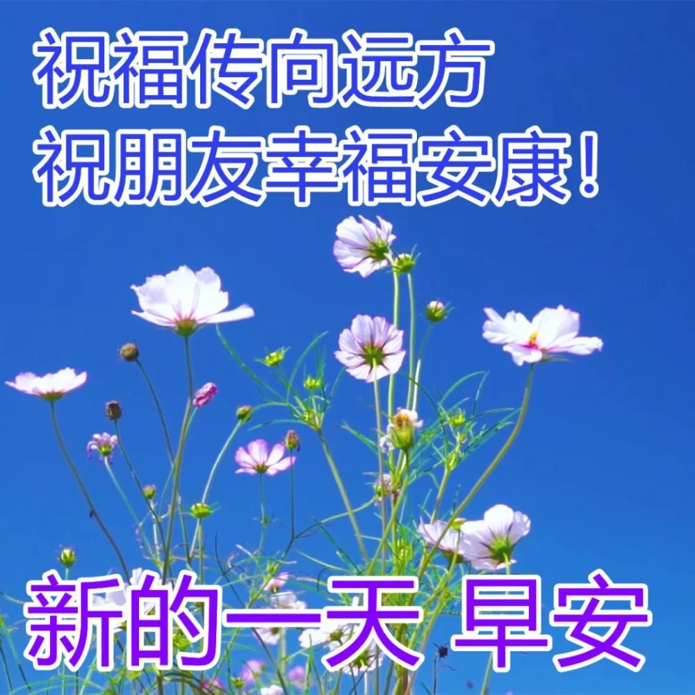 周末最新版早上好问候图片合集早晨好祝福图片带字