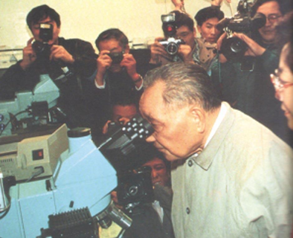 回首90年代1992年小平同志南巡讲话立即点燃了浦东开发的大高潮
