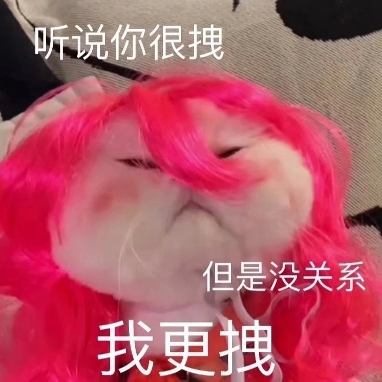 美女必备沙雕表情包10