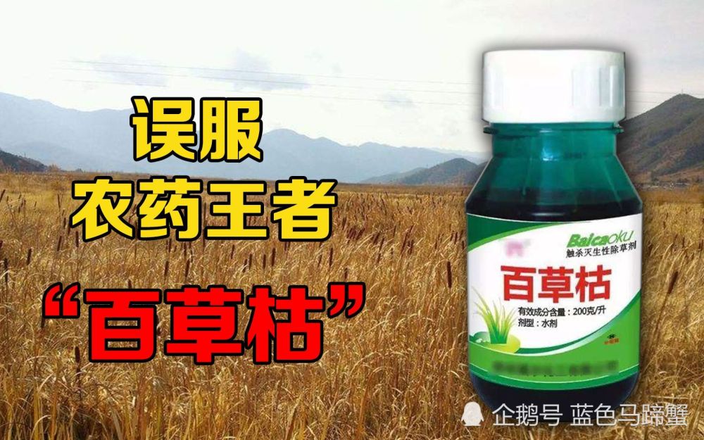 事实上百草枯本质上是一种非常好用的除草剂,很多