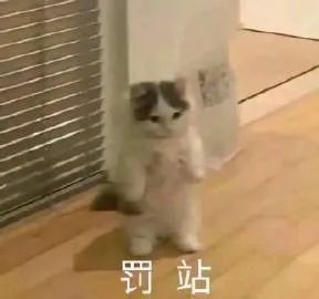 表情包罚站
