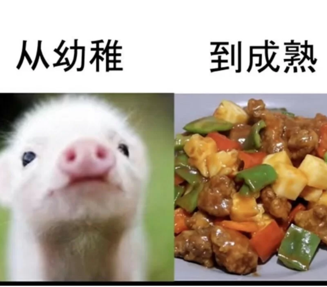 搞笑图片:从幼稚到成熟|欢乐斗地主