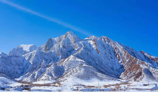 【美图视界】新疆玛纳斯:皑皑白雪映碧空 骆驼漫步在