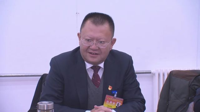 庄劲松参加安多县代表团审议