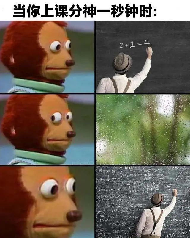 过于真实的沙雕表情包
