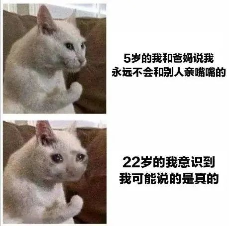过于真实的沙雕表情包