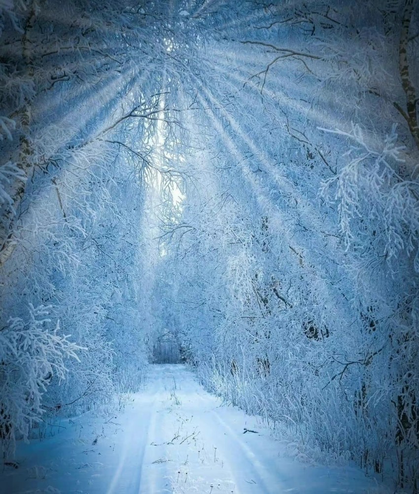 北欧仙境般雪景