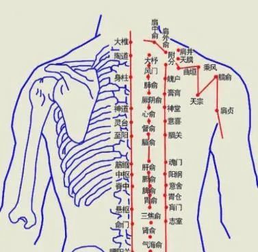 家庭康养实用技术肩周炎自我调理