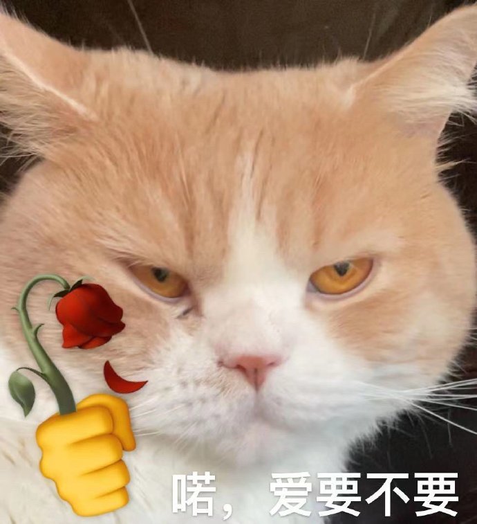 表情包Ⅰ猫猫送玫瑰