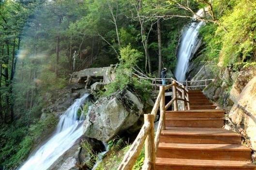 中国十大最美森林公园,河南宝天曼风景区