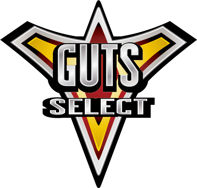 戴卡奥特曼的防卫队名依旧是guts-select,翻译过来就是精英胜利队