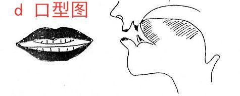 的能力及安全性吞咽障碍训练的目的吞咽障碍:由于下颌,双唇,舌,软腭
