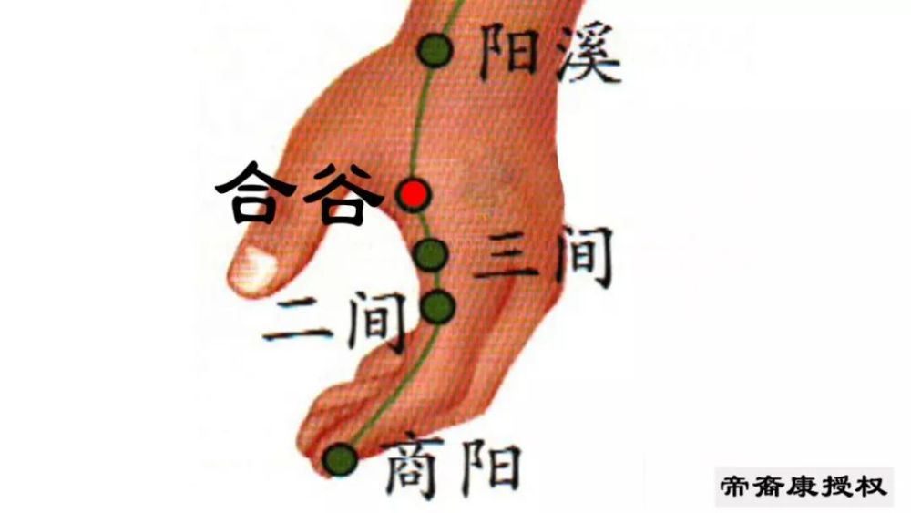 按压合谷穴,牙痛马上缓解.