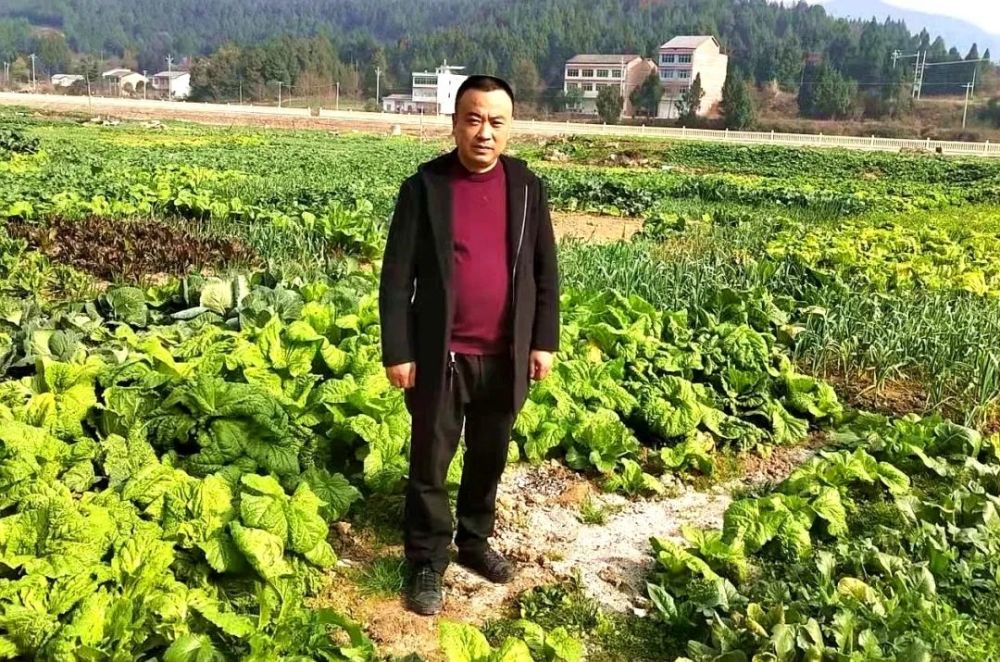 汪友良先后带领种植户在新津,邛崃,蒲江,新都,金堂,中江流转土地20000
