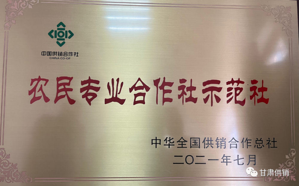 喜讯崇信恒盛肉牛养殖农民专业合作社被评为中华全国供销总社示范社