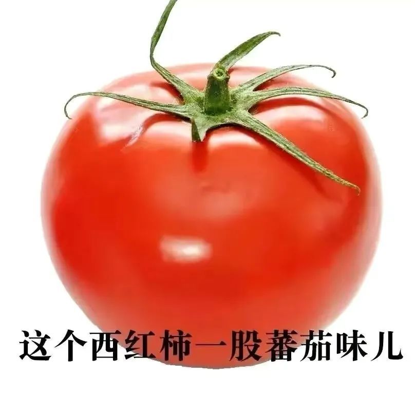 表情包这是西红柿一股番茄味儿