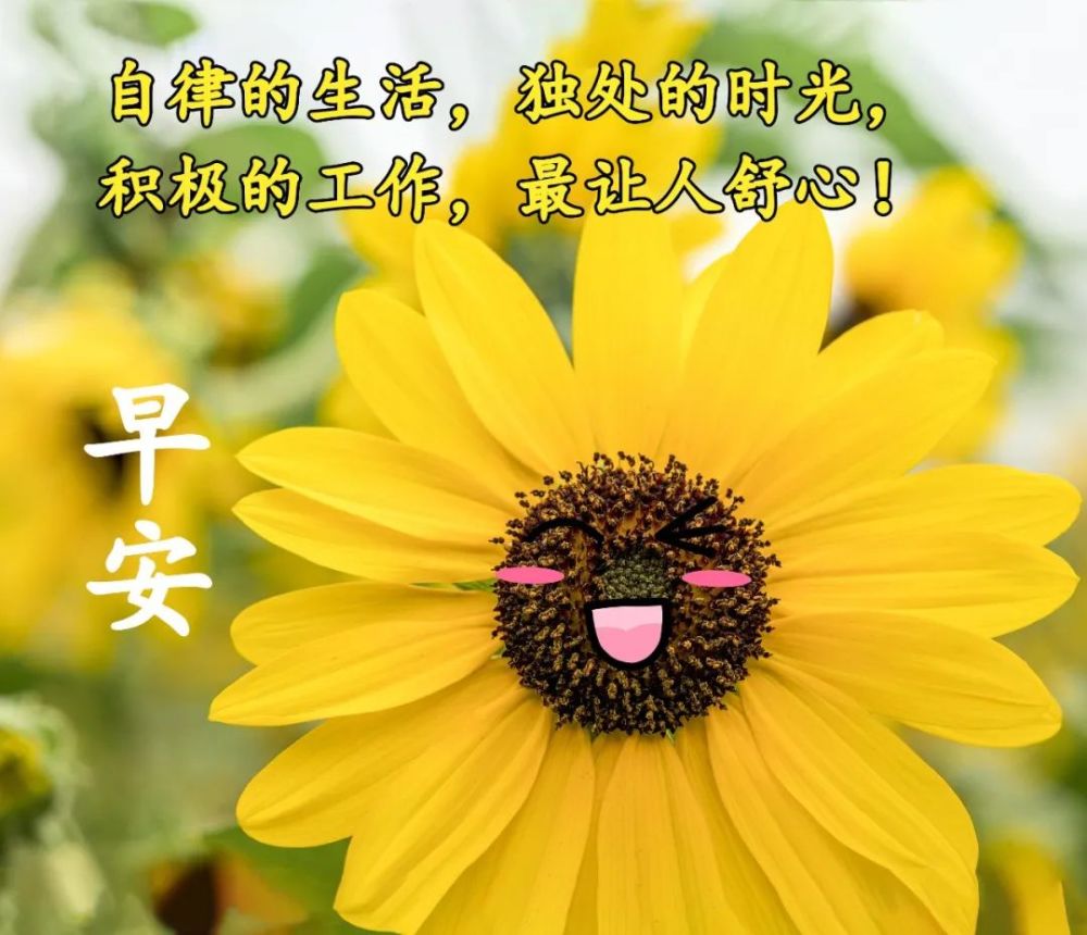 10,清晨到夜晚跑,道句早安心情好,早睡早起身体好棒,一天心情乐逍遥