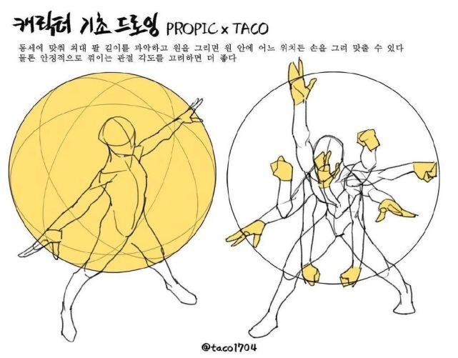 插画教程韩国画师taco人体教程参考