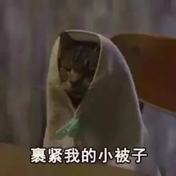 表情包裹紧我的小被子