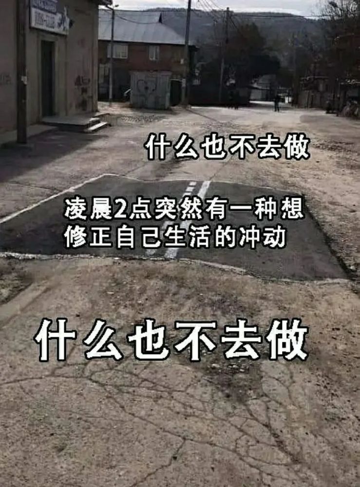 摆烂表情包