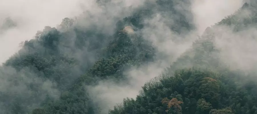 山居生活本来的样子