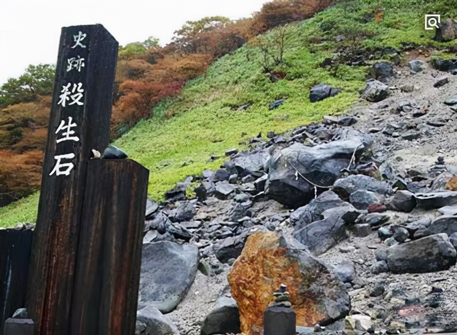 恐怖的日本杀生石昆虫动物触碰立刻死亡