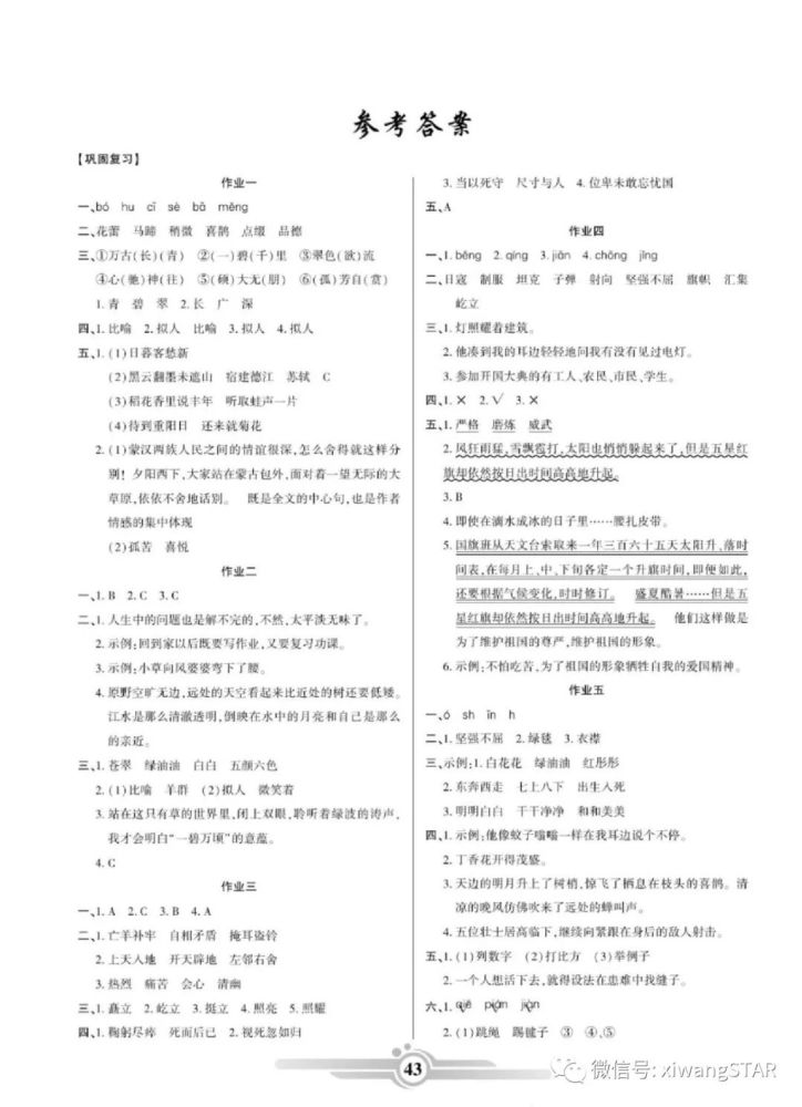 部编版语文六年级上册寒假作业