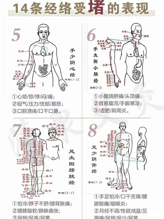 号外,快来和红姐一起看看你有没有这14条经络受堵的表现