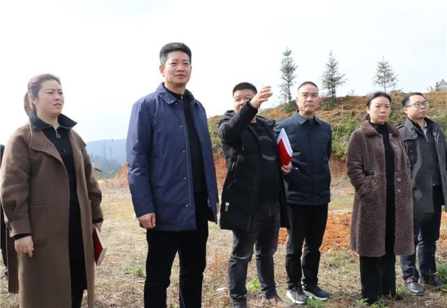 杨启明调研油茶产业基地建设