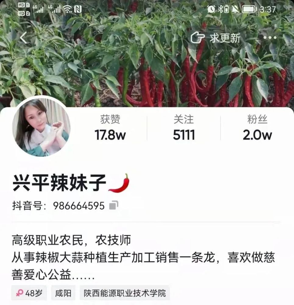 有故事的陕西新农人兴平辣妹子赵丽