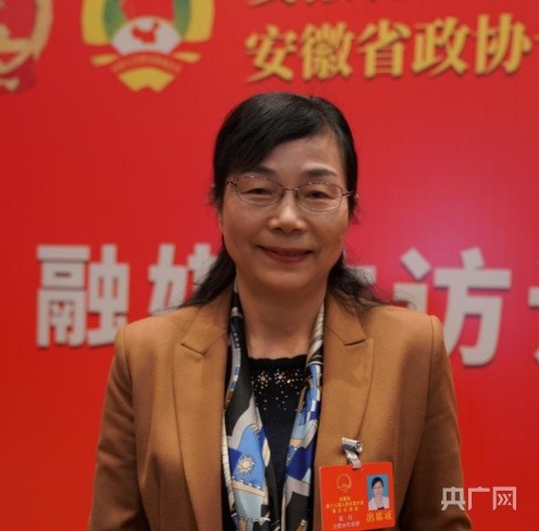 安徽省人大代表张红.