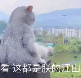 表情包:看,这都是朕的江山