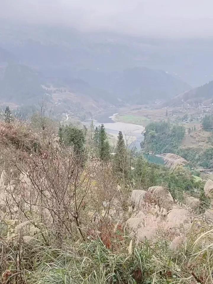 历史篇篇重庆大唐同志太子李承乾之墓