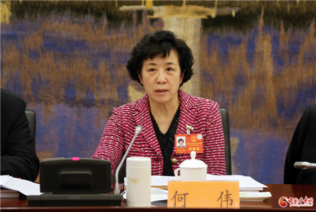 甘肃两会·代表委员说】省人大代表何伟:开拓奋进 把每项任务落地落实