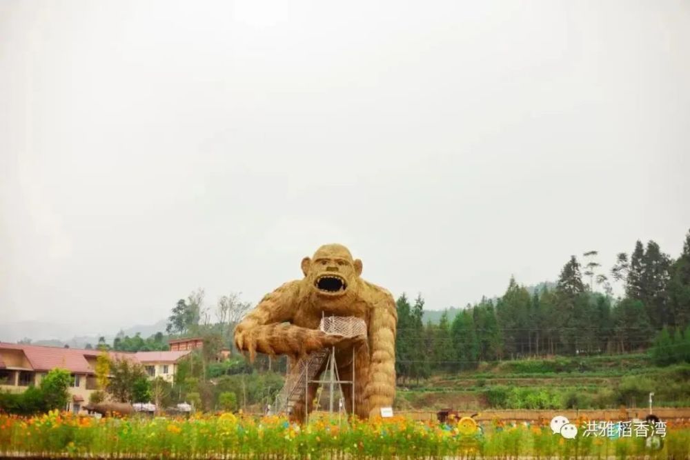 稻香湾梦幻田园花开正艳门票免费送