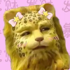 最火金钱豹爆头像不会吧2022年了居然还有人信这个能发财