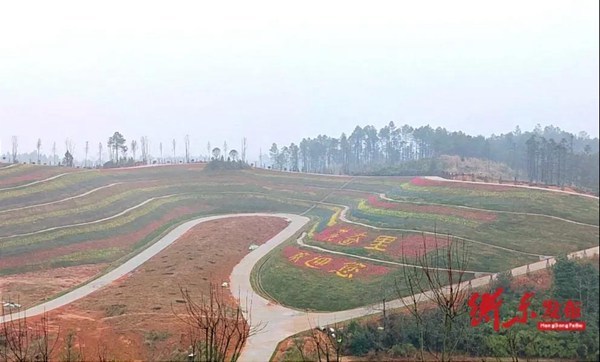 衡东花奇里景区即将开园一年四季鲜花常开