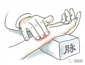 动态脉诊图来了,学脉诊的好帮手!