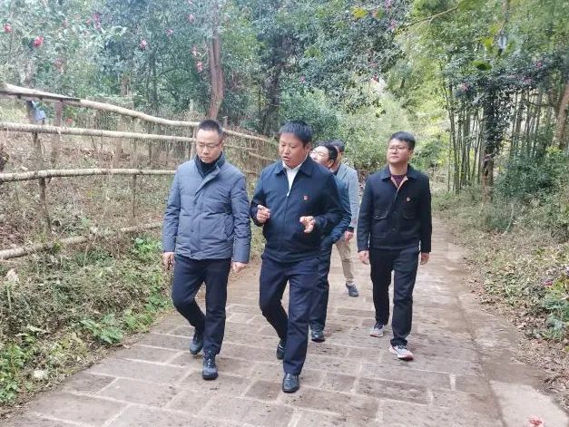 1月18日,中共腾冲市委书记成德君深入马站乡三联村,和睦社区调研指导