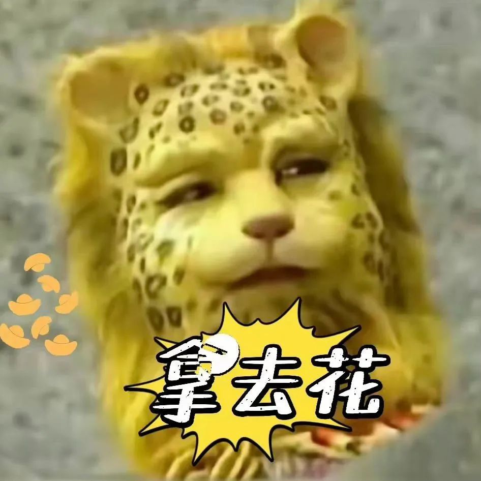 金钱豹头像表情包大合集