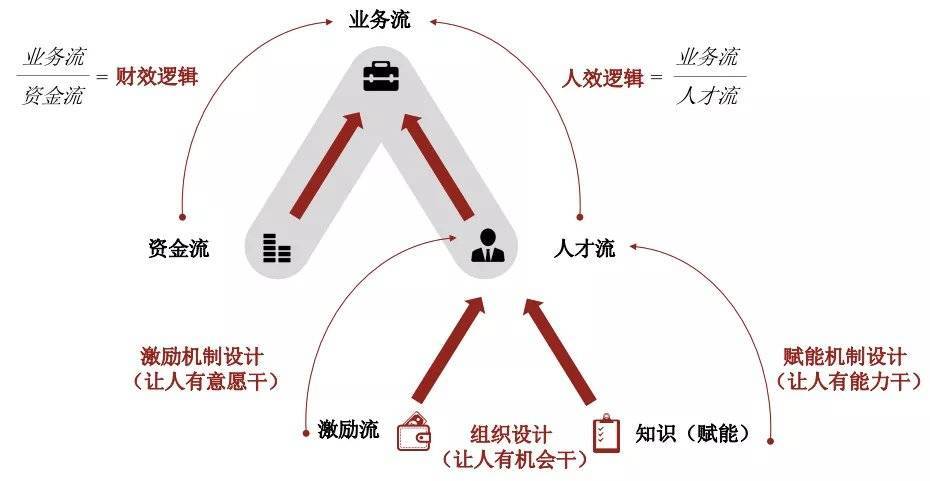 什么才是HR真正的专业壁垒